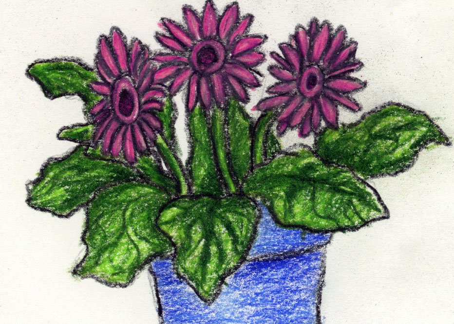 flowers in a pot